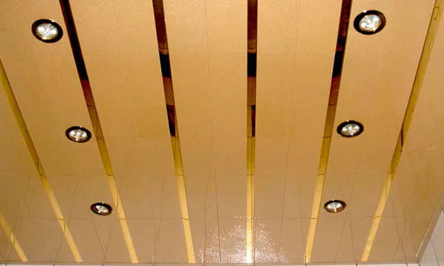 Подвесные потолки: типы, особенности и характеристики потолка подвесного